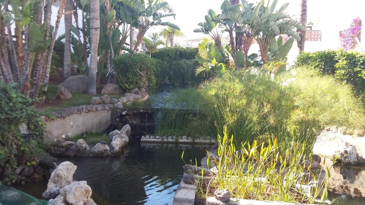 Fairways Club, Duplex B22 Daire San Miguel de Abona Dış mekan fotoğraf